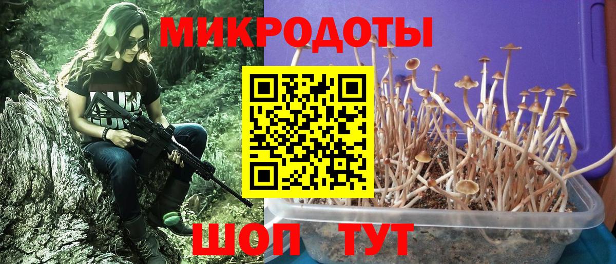 Псилоцибиновые грибы мицелий Добрянка